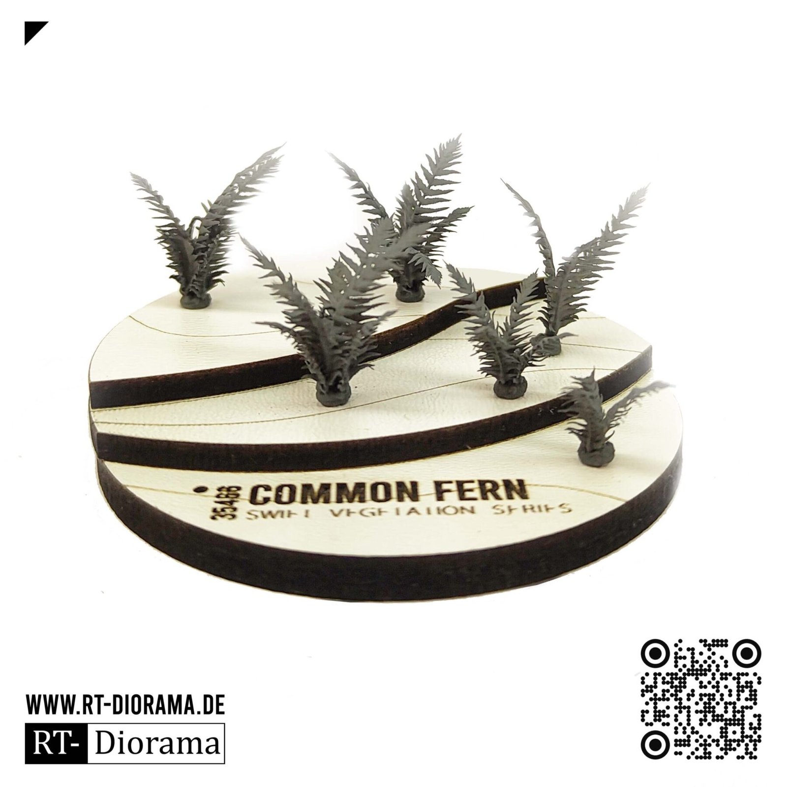 Common Fern Set - Image 4