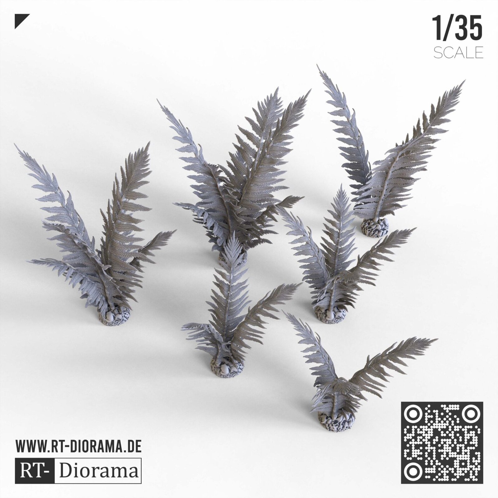 Common Fern Set - Image 2