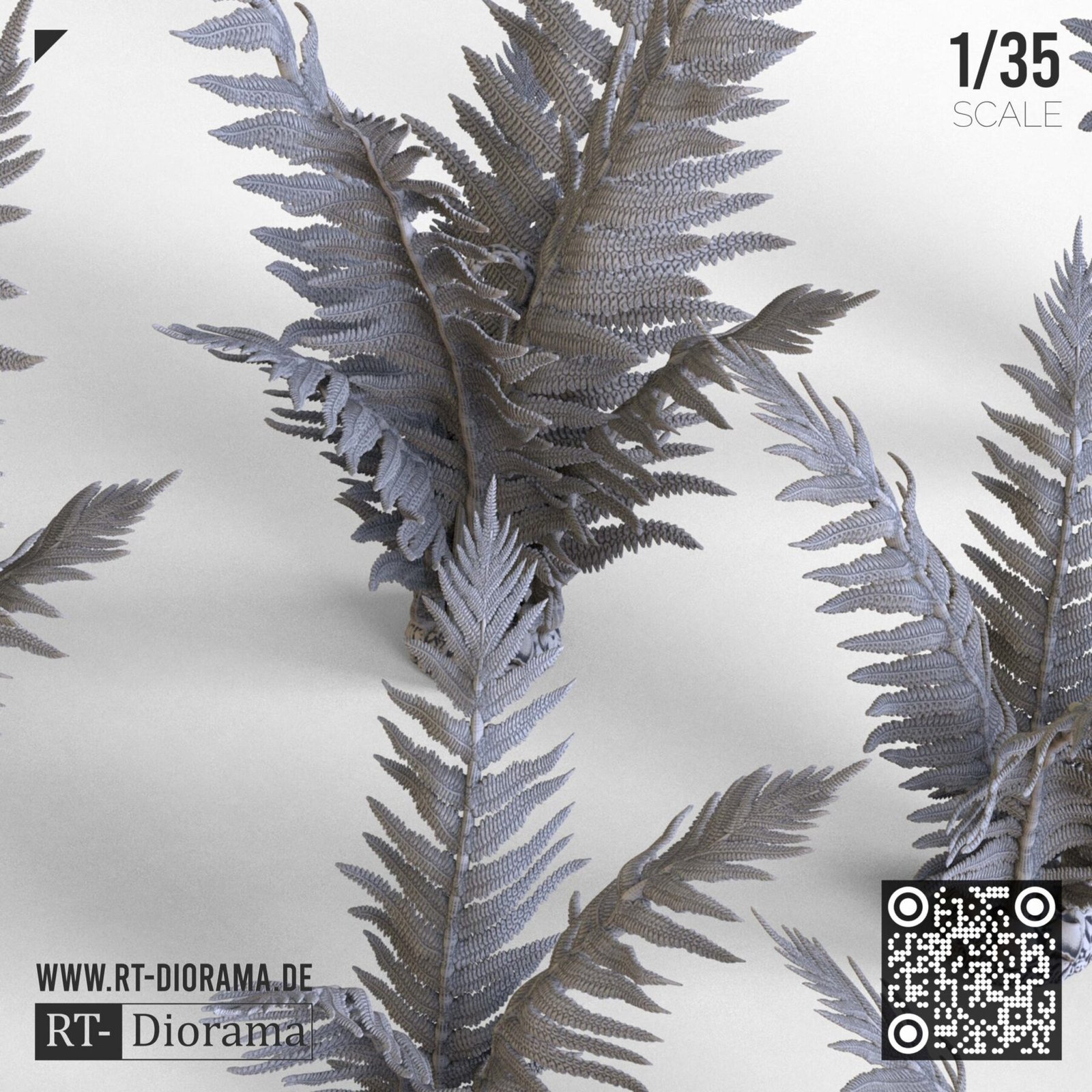 Common Fern Set - Image 3