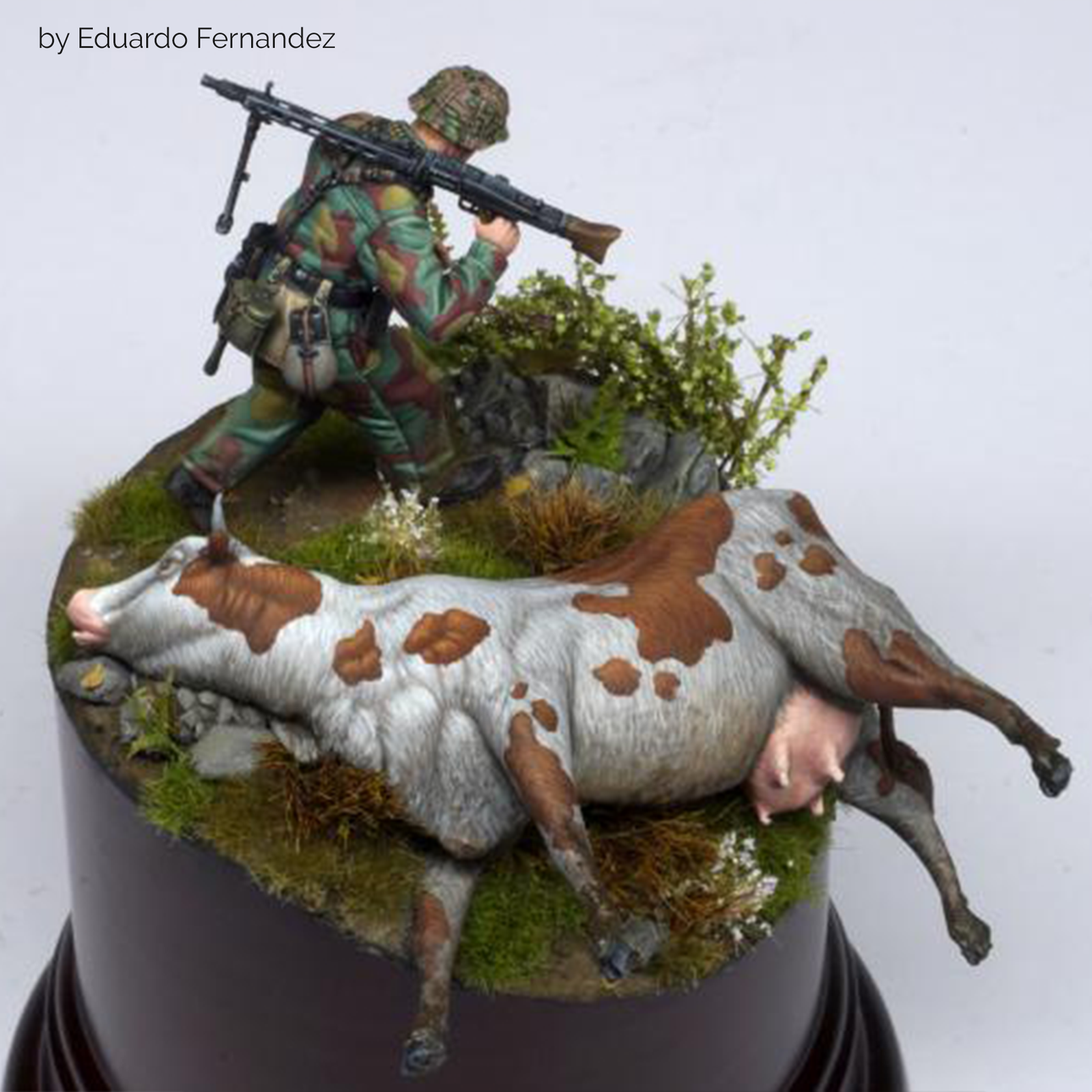 Cow Carcass – product image