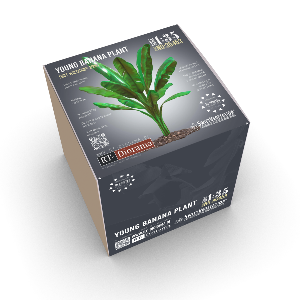 Young Banana Plant – product image