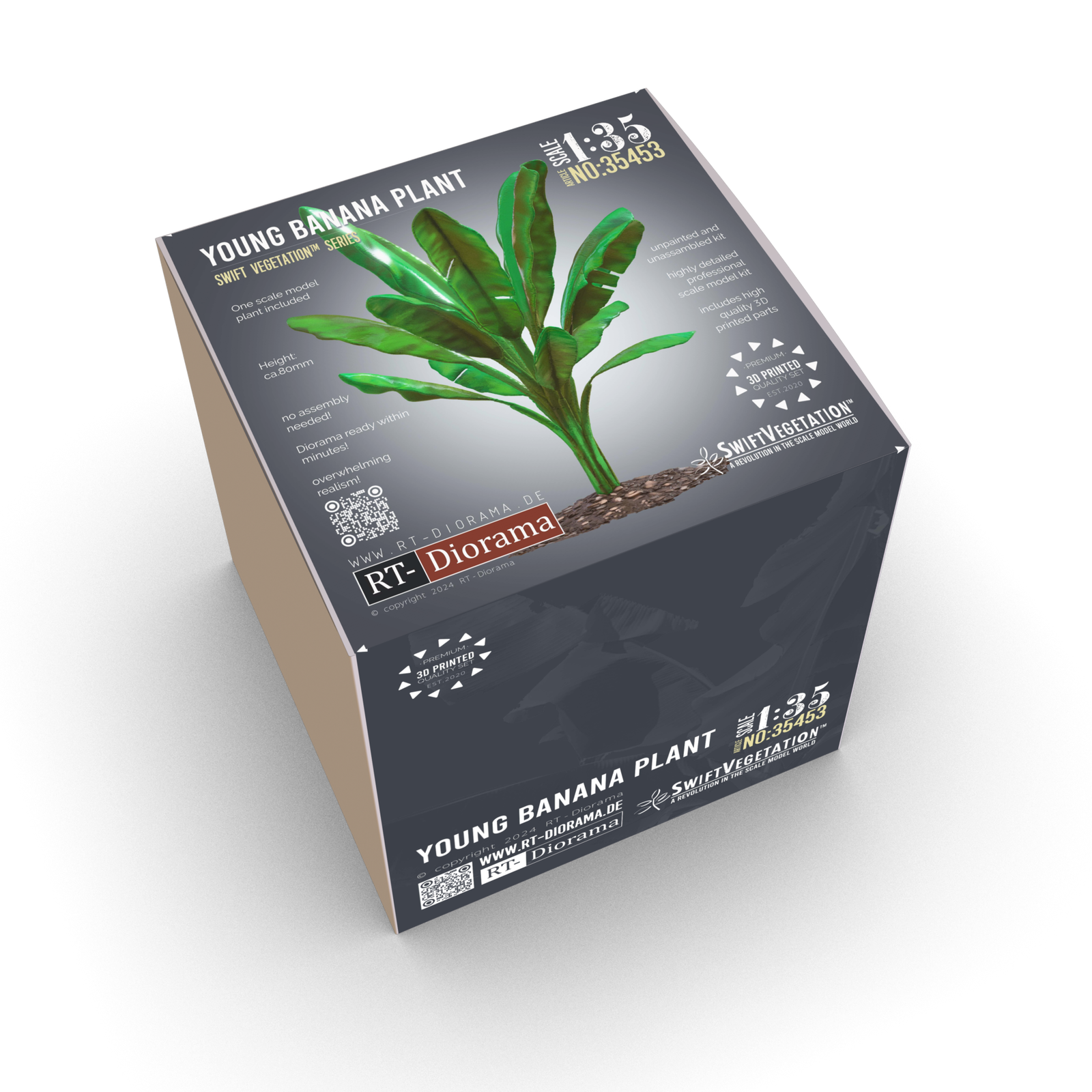 Young Banana Plant – product image