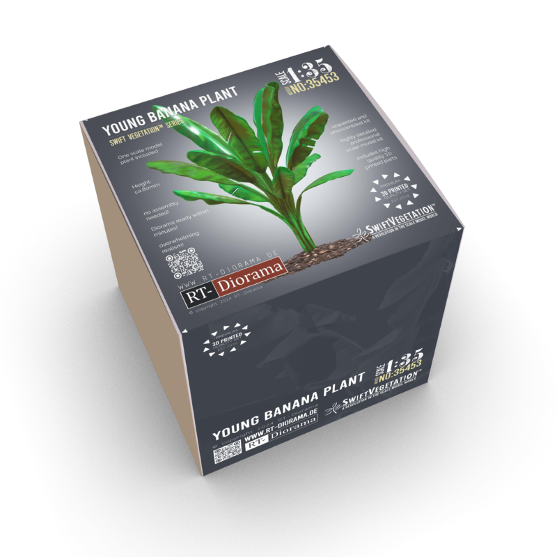 Young Banana Plant – product image