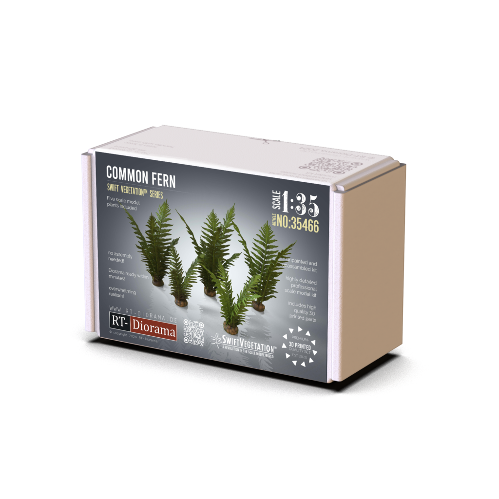 Common Fern Set – product image
