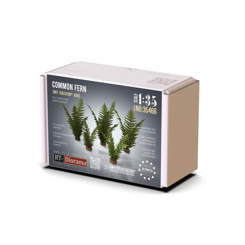 Common Fern Set – product image