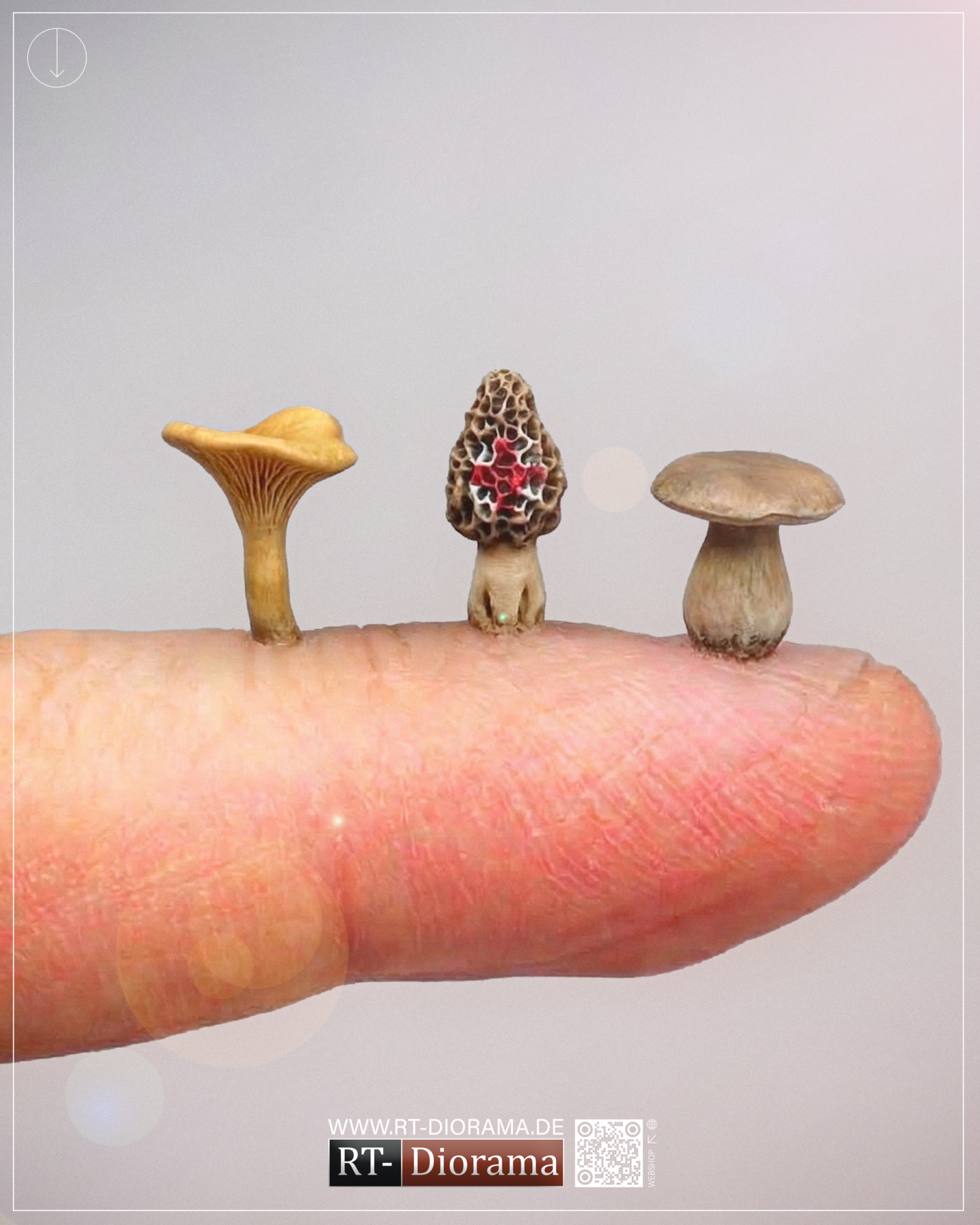 Forest Mushrooms 1/35 – 3D Printed Diorama Vegetation Set – product image
