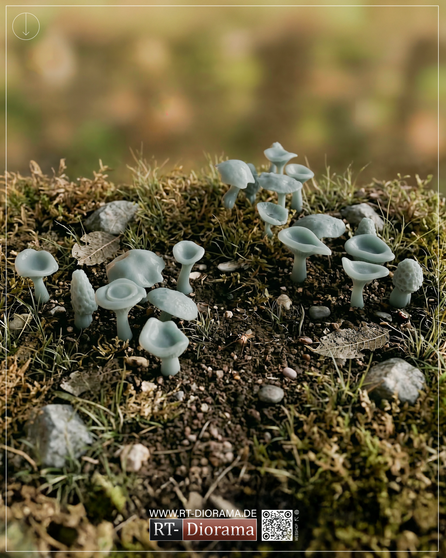 Forest Mushrooms 1/35 – 3D Printed Diorama Vegetation Set – product image