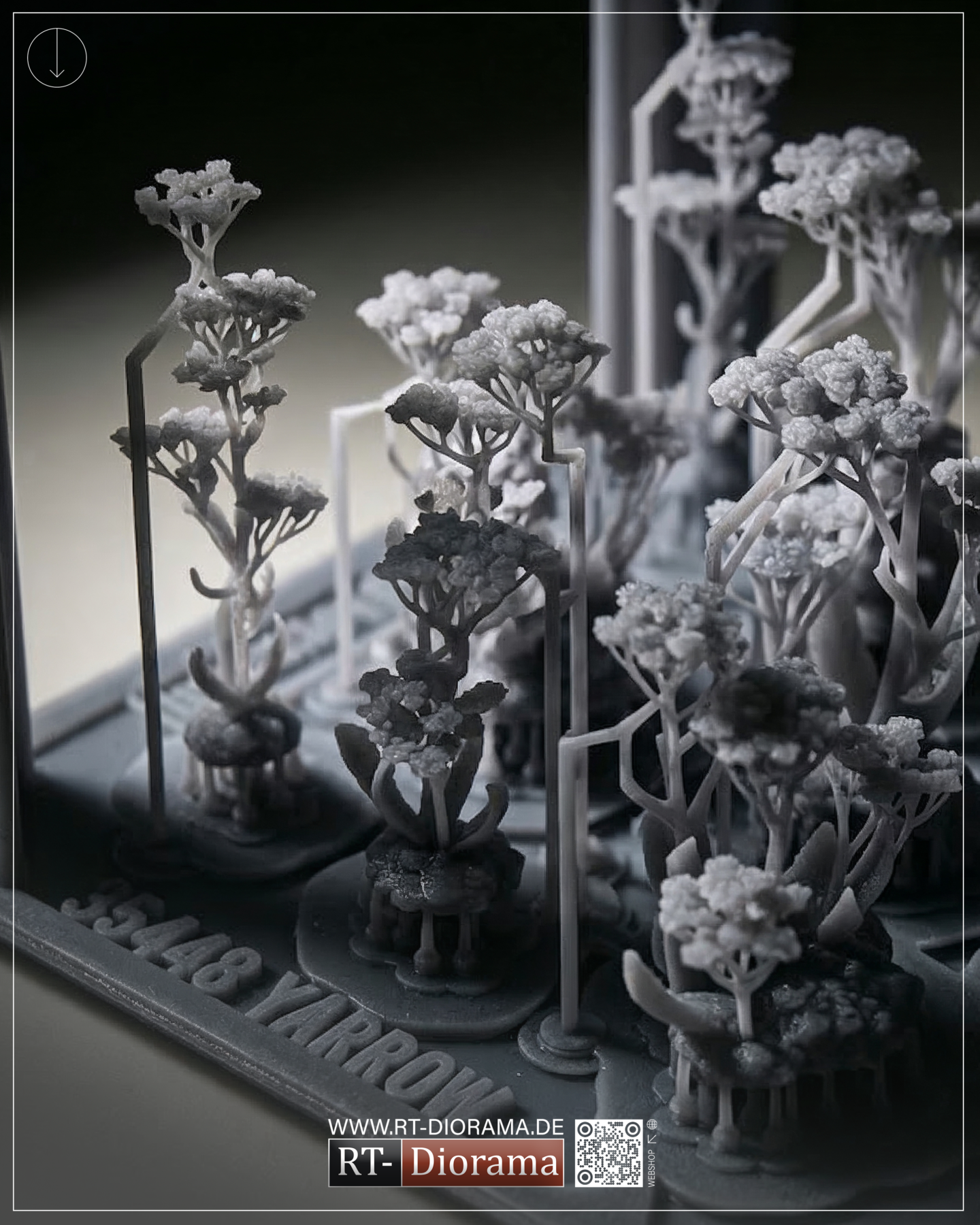 European Yarrow 1/35 – 3D Printed Diorama Vegetation Set – product image