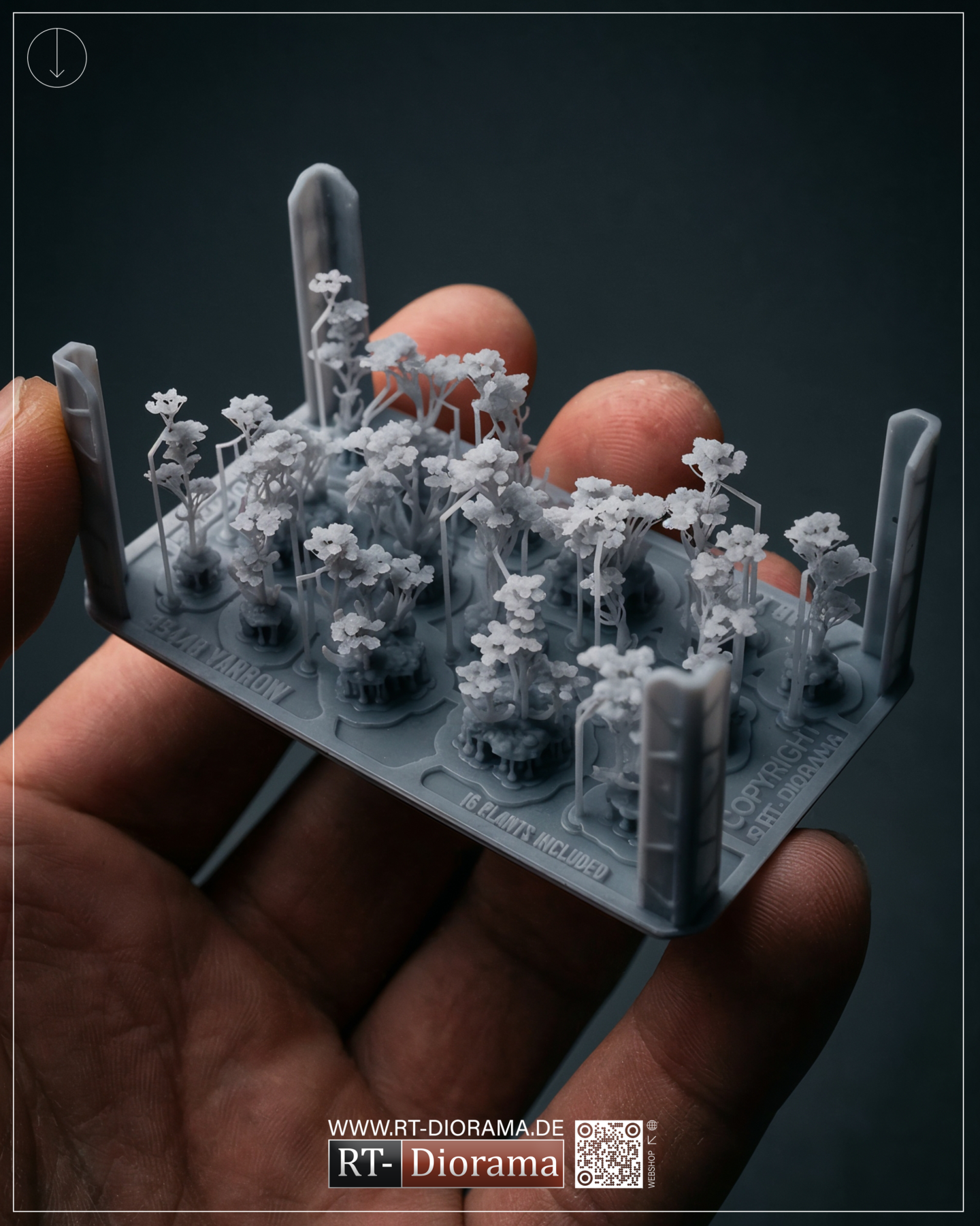 European Yarrow 1/35 – 3D Printed Diorama Vegetation Set – product image