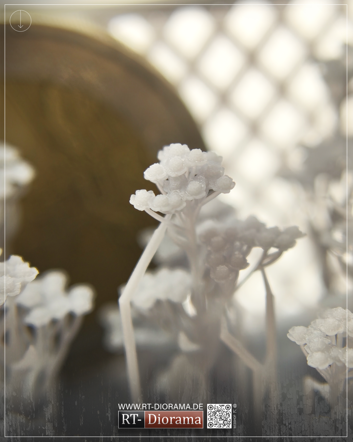 Sprawling Daisies [Swift Vegetation] – product image