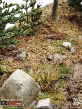 "Hürtgenwald" [Scenic Base] – product image