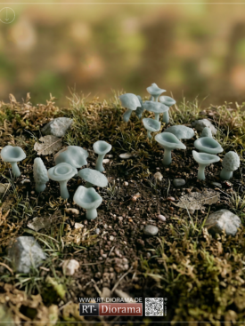 Forest Mushrooms 1/35 – 3D Printed Diorama Vegetation Set – product image